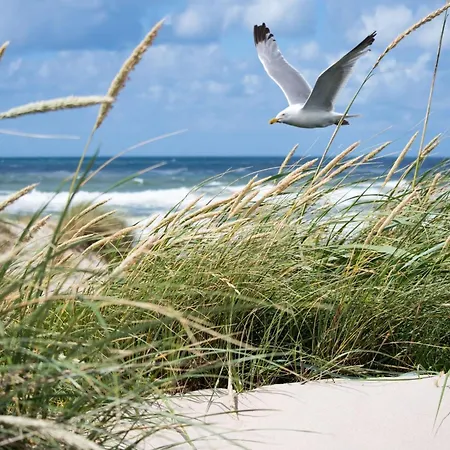 Daire Near Sailing Club Bruges