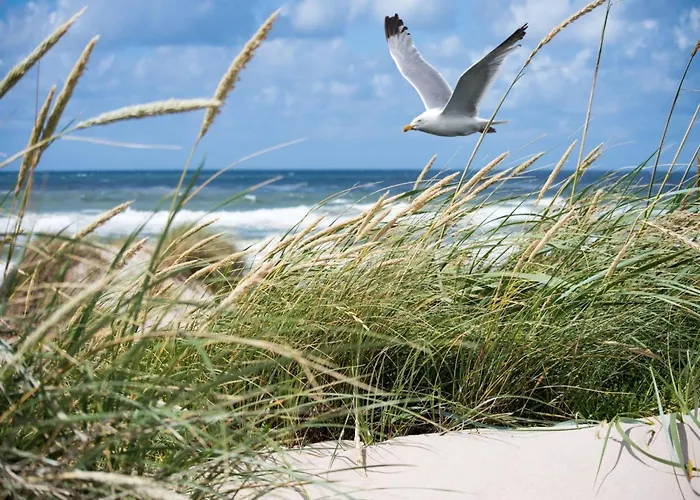 Daire Near Sailing Club Bruges